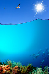 Similar image 325150