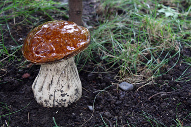 Similar image 325218