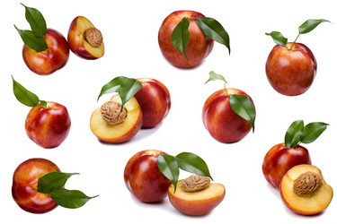 Similar image 325241