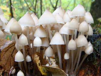 Similar image 325254