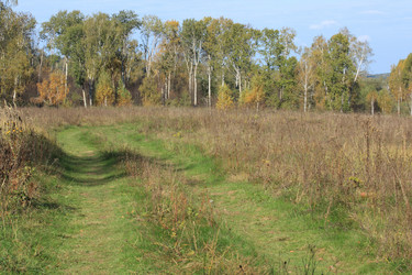 Similar image 325259