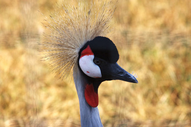 Similar image 325290