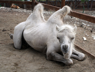 Similar image 325341