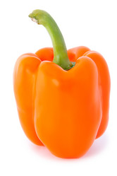 Similar image 325463