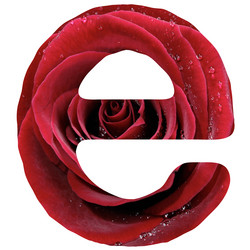 Similar image 325532