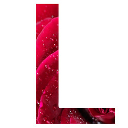 Similar image 325533