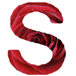 Similar image 325536