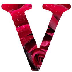 Similar image 325537