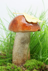 Similar image 325552