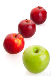 Similar image 325583