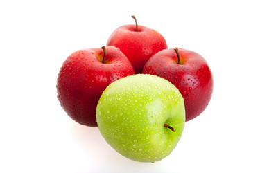 Similar image 325596