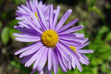 Similar image 325655