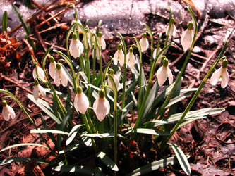 Similar image 325657