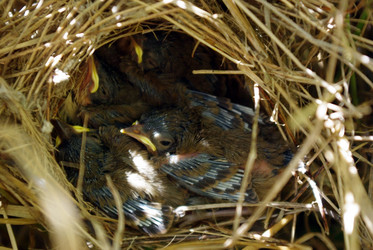 Similar image 325691