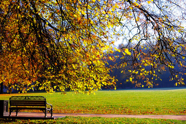 Similar image 325699