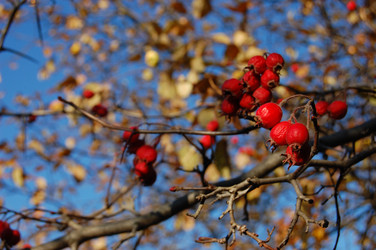 Similar image 325735