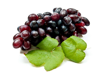 Similar image 325738