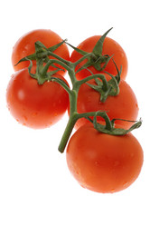 Similar image 325743