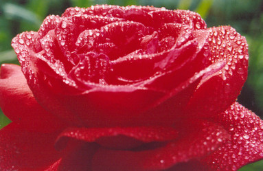 Similar image 325795