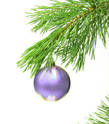 Similar image 325806