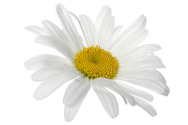 Similar image 325819