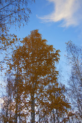 Similar image 325847