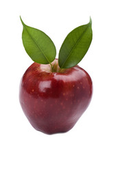 Similar image 325885