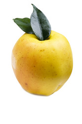 Similar image 325893