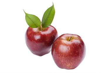 Similar image 325897