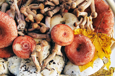 Similar image 325945