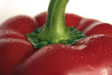 Similar image 325992