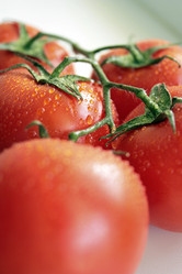 Similar image 326001