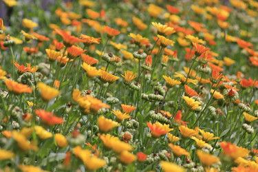 Similar image 326006