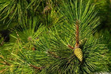 Similar image 326080