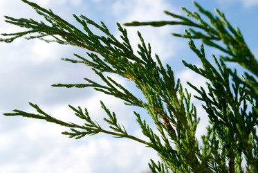 Similar image 326081