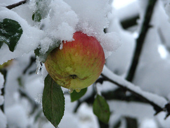 Similar image 326140