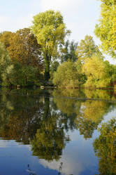 Similar image 326149