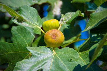 Similar image 326194