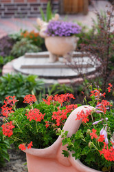 Similar image 326197