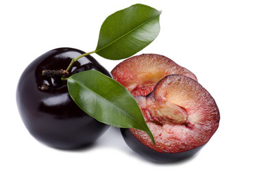 Similar image 326245