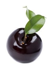 Similar image 326246