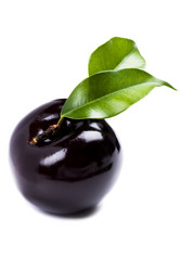 Similar image 326248