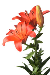 Similar image 326285