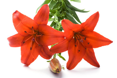 Similar image 326286