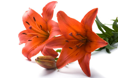 Similar image 326287