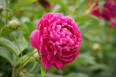 Similar image 326381