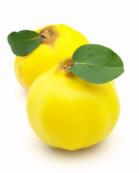 Similar image 326491