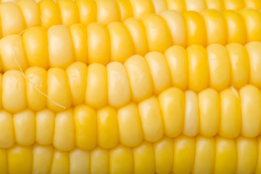 Similar image 326613