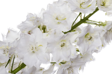 Similar image 326634