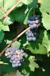 Similar image 326658